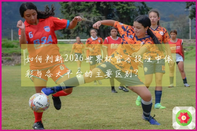 如何判断2026世界杯官方投注中体彩与各大平台的主要区别？