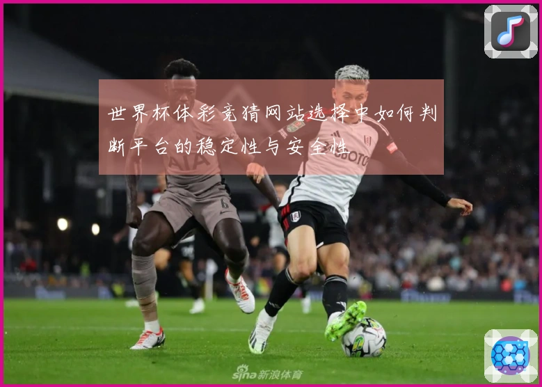 世界杯体彩竞猜网站选择中如何判断平台的稳定性与安全性
