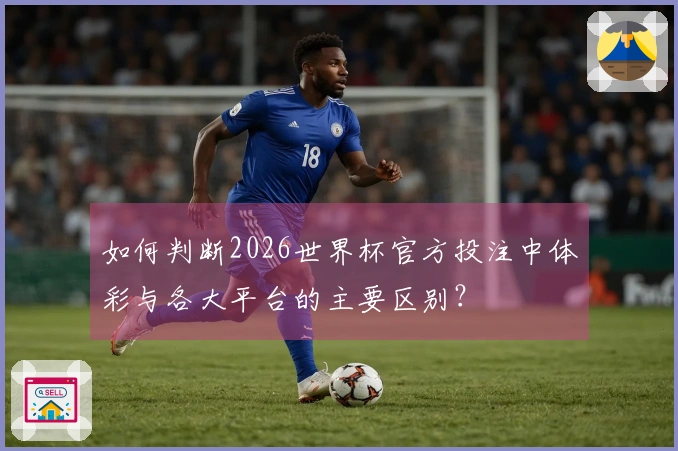 如何判断2026世界杯官方投注中体彩与各大平台的主要区别？